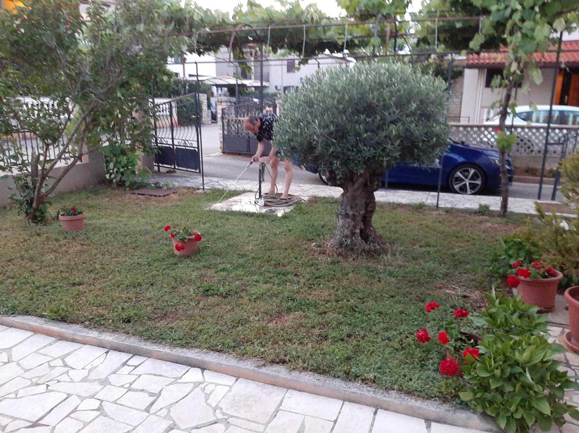 Apartment Stefania Rovinj Rom bilde